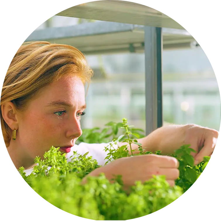 Aandacht bij Hai werken in de bediening, horeca vacatures, bediening Hai, horecamedewerker bediening.